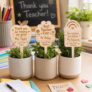 Può includere: Tre segnaposto per piante in legno chiaro con testi e disegni incisi, ciascuno inserito in una piccola pianta in vaso. I segnaposto presentano forme di mela, nuvola e arcobaleno con messaggi personalizzati di ringraziamento per insegnanti.