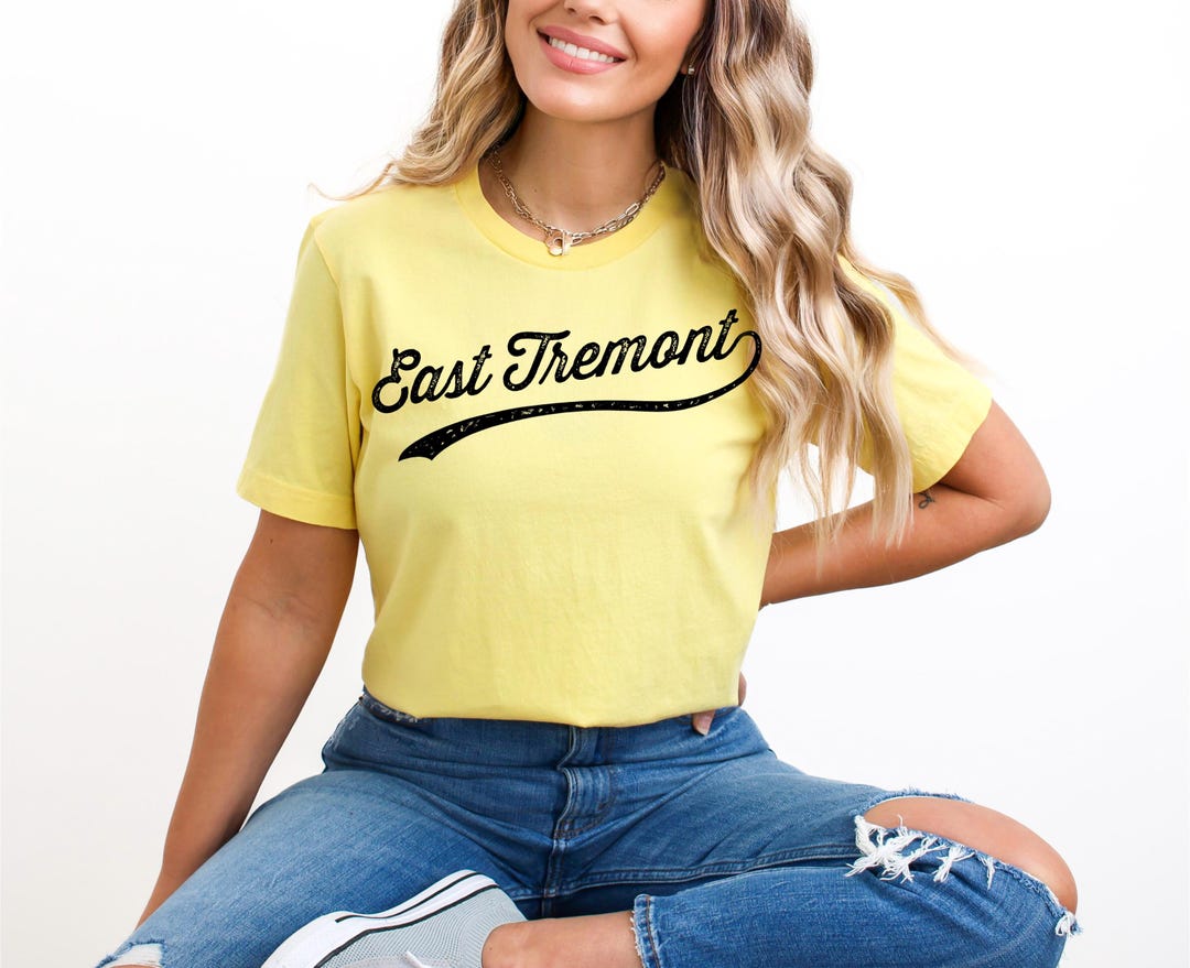 True Religion City Jeans Tremont Vintage East Tremont Bronx