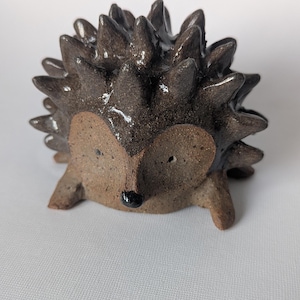 May include: A ceramic hedgehog figurine with a brown body and dark brown spikes. The hedgehog has a light brown face with small, dark eyes and a black nose. The figurine is a decorative item.