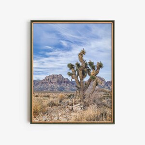 Joshua Tree in Southwest Desert Landscape, Printable Nature Photography Home Decor