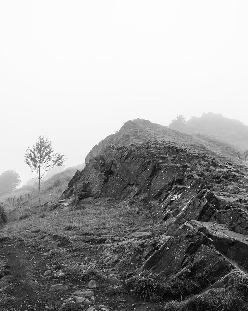 Nature Photography Printable Wall Art Black and White Etsy