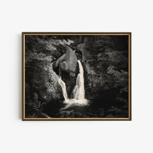 Puede incluir: Una fotografía en blanco y negro de una cascada que cae por un acantilado rocoso en un bosque exuberante. El agua fluye sobre una gran roca en el centro de la imagen, creando un efecto dramático.