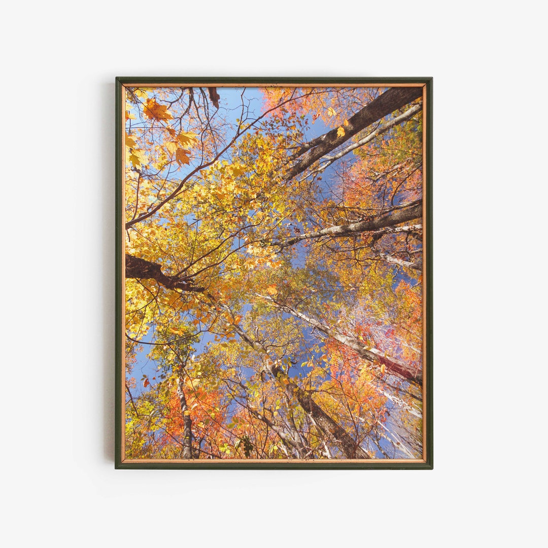 Autumn Leaves Poster, Fall Foliage Wall Art Print, Nature Lover Gift ...