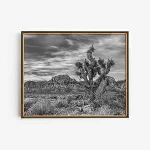 Mountains and Joshua Tree Southwest Landscape Instant Download Wall Art