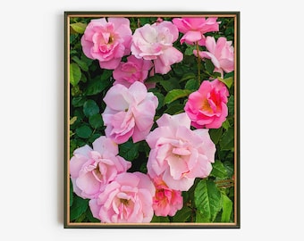 Pink Rose Wall Art Print, Romantic Floral Photography, Cottagecore Flower Decor, Soft Blush Botanical Art, Feminine Bedroom Wall Art