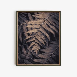Waldästhetik Herunterladbare Kunst, Waldpflanzenwandkunst Digitaldruck, Dark Academia