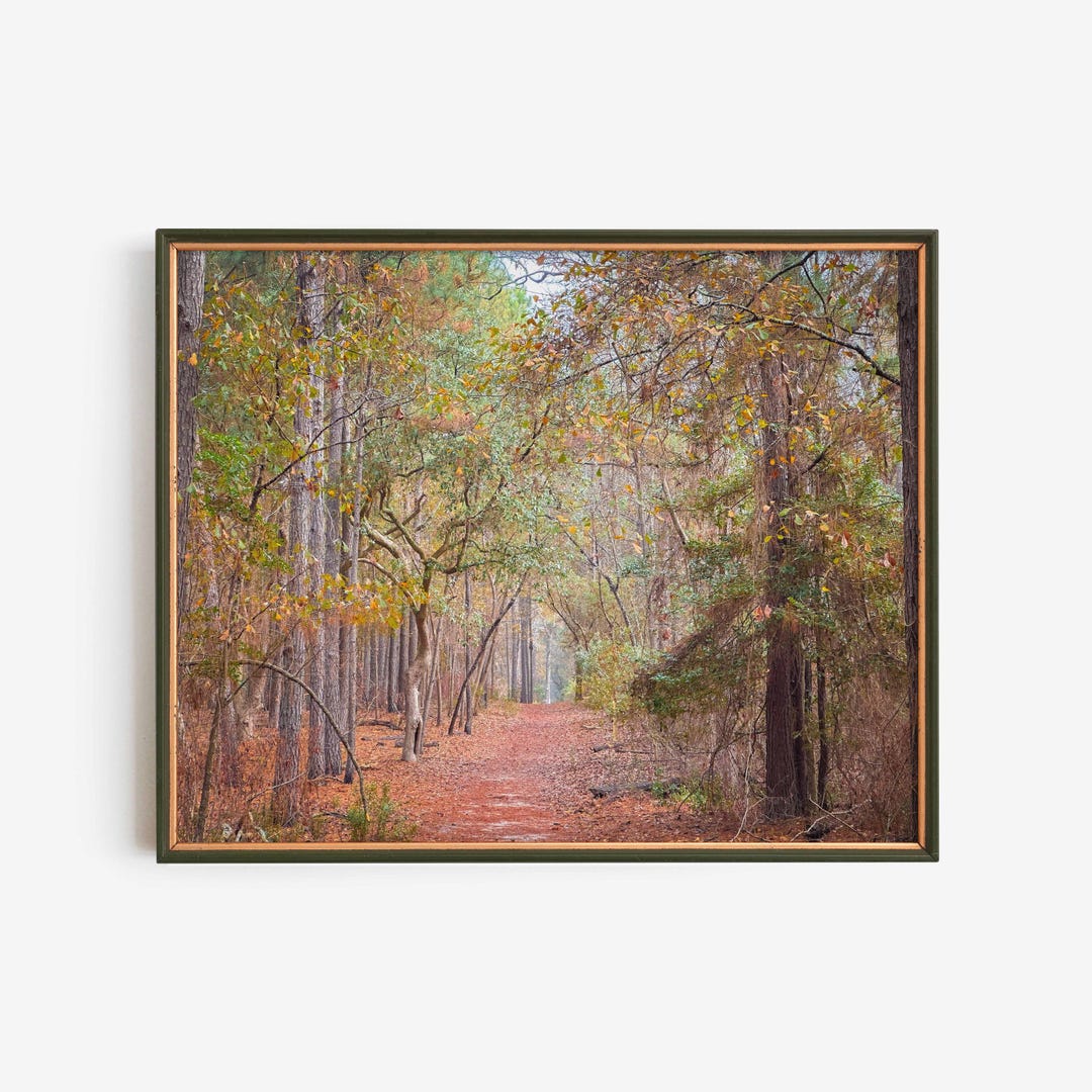 Autumn Forest Trail Print, Woodland Path Nature Photography, Rustic ...