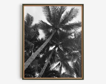 Zwart-wit palmboomfotografie downloaden, tropische kustmuurkunst afdrukbare, minimalistische strandposter, moderne natuurfoto digitaal