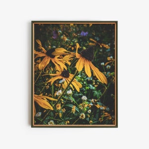 Rudbeckia Floral Fall Decor, Nature Photography Printable Wall Art, Black Eyed Susan Botanical Digital Print