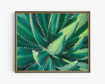 Stampa artistica da parete con pianta di agave, download digitale botanico verde, stampa luminosa di piante grasse del deserto, arredamento moderno boho naturalistico, download immediato