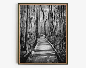 Gothic Forest Path Wall Art Print, Spooky Black and White Witchy Nature Photography, Dark Academia Home Decor