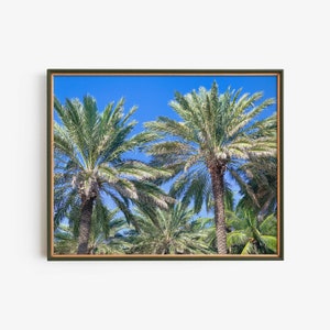 Palm Trees Coastal Decor, Tropical Printable Wall Art, Instant Download Nature Photography