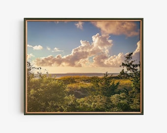May include: A scenic landscape photograph featuring a view of a beach with rolling sand dunes and lush green vegetation in the foreground. The sky is a vibrant blue with fluffy white clouds, and the sun is setting in the distance, casting a warm golden glow over the scene.