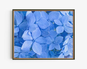 Blue Hydrangea Wall Art, Floral Photography Print, Cottagecore Flower Home Decor, Botanical Art, Garden Nature Poster, Romantic Gift