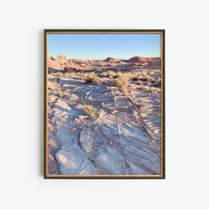 Desert Morning Poster, Mojave Desert Landscape Art Print, Southwestern Wall Decor, Nature Lover Gift, Southwest Home Decor