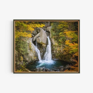 Puede incluir: Una cascada cae en cascada a través de un exuberante bosque con follaje amarillo y verde vibrante. El agua cae sobre las rocas y crea una piscina en la parte inferior.