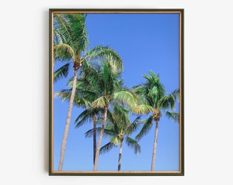 Levendige palmboom afdrukbare muurkunst, tropische blauwe lucht digitale download, Miami Beach print, Bright Summer Coastal Home Decor