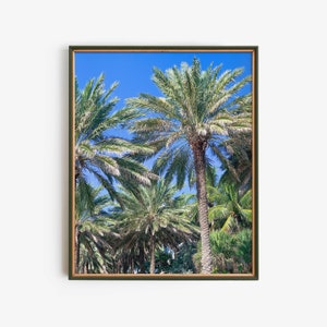 Palm Trees Printable Nature Photography, Tropical Coastal Home Decor Instant Download