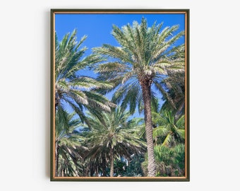 Afdrukbare muurkunst palmboom, tropische fotografie digitale download, decor kust Florida, strandhuiskunstwerk, tropische landschapsfoto