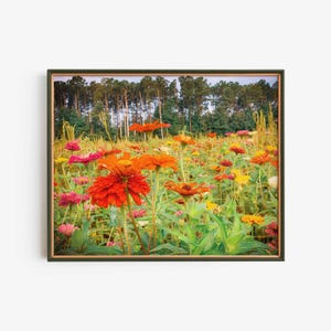 Zinnia Printable Wall Art, Colorful Flowers, Summer Garden Vibes, Cottagecore Aesthetic, Instant Download Poster, Floral Home Decor