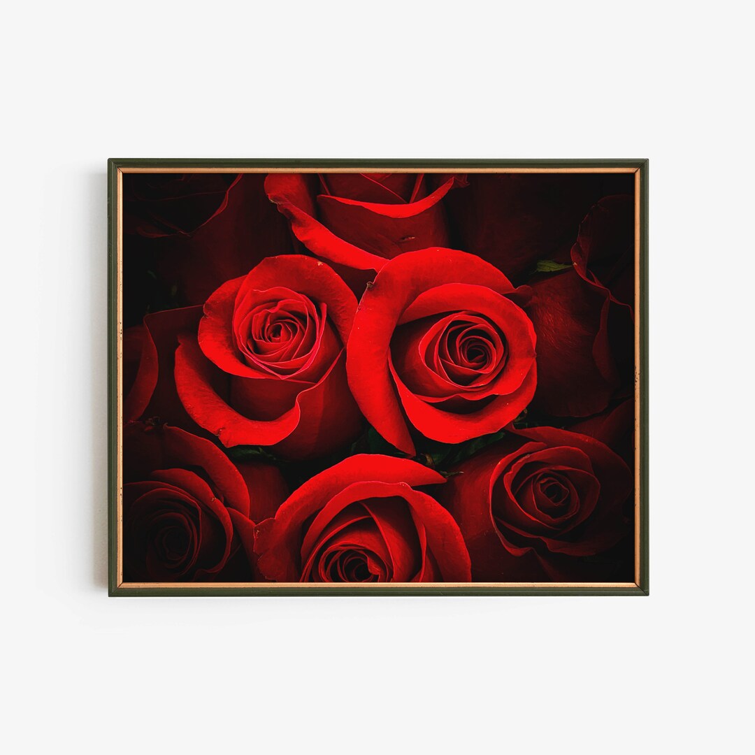 Red Rose Wall Art Digital Download, Romantic Floral Print, Deep Red ...