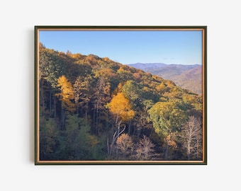 May include: A framed landscape print featuring a hillside covered in trees with vibrant autumn foliage. The color palette includes shades of yellow, green, and brown, set against a clear blue sky. Distant mountains are visible.