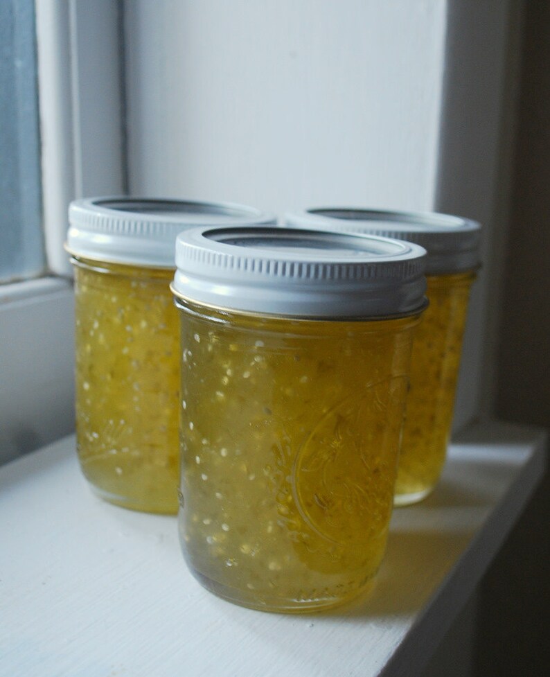 Jam Tomatillo LemonLime Homemade Gourmet Condiment Appetizer Etsy