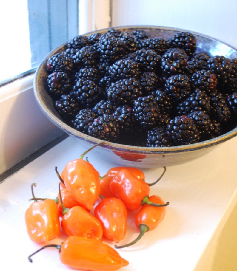 Jam Blackberry Habanero Farmers Market 8 Oz Hot Pepper Party Etsy