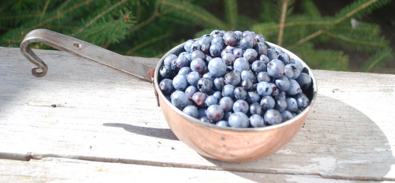 Raspberry Blueberry Jam pint 16 oz Farmers Market Brunch Mixed Berry image 5
