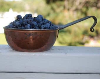 Organic Blueberry Jam 8 oz Fresh Handmade Farmers Market Brunch