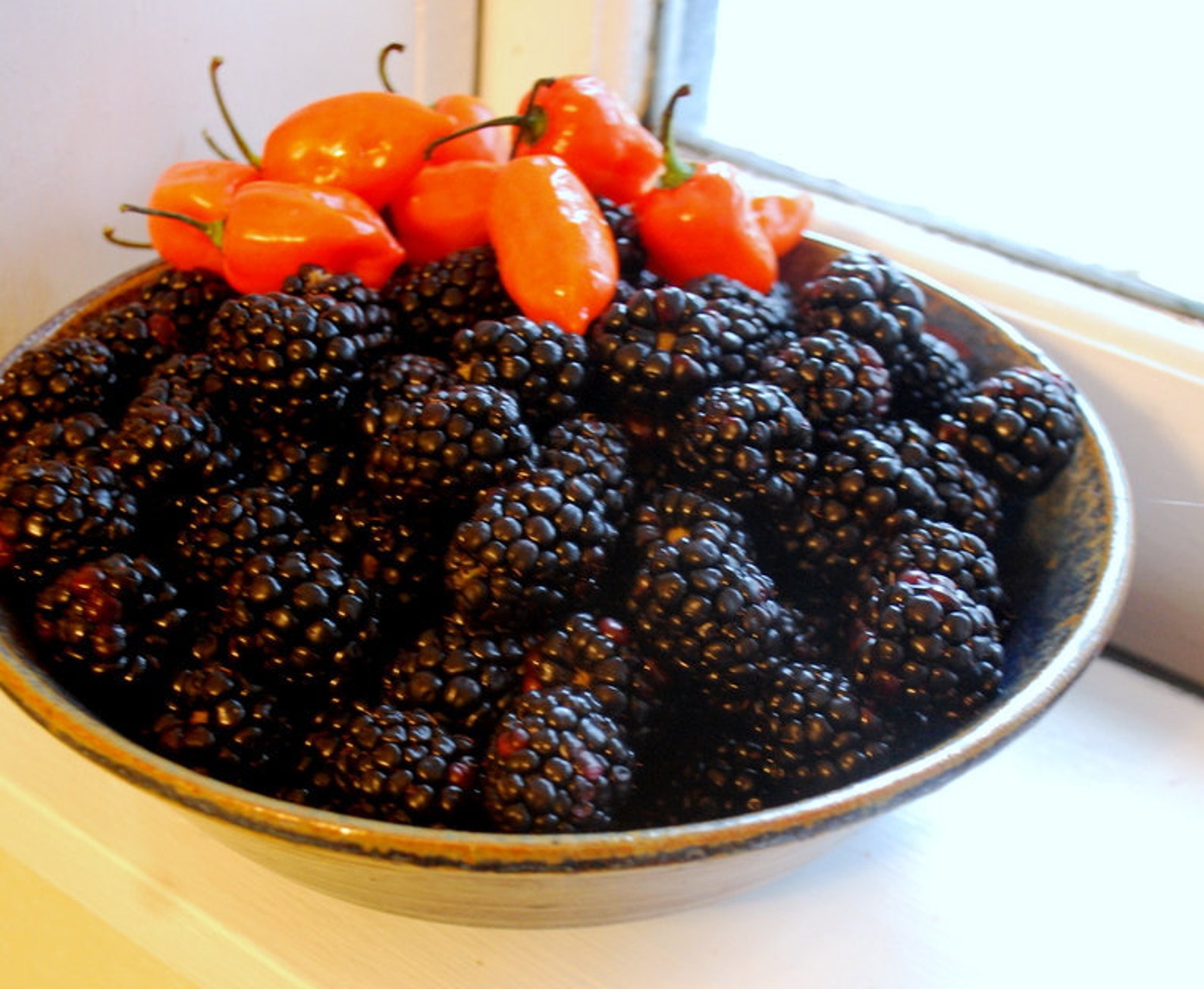 Jam Blackberry Habanero Farmers Market 8 Oz Hot Pepper Party Etsy