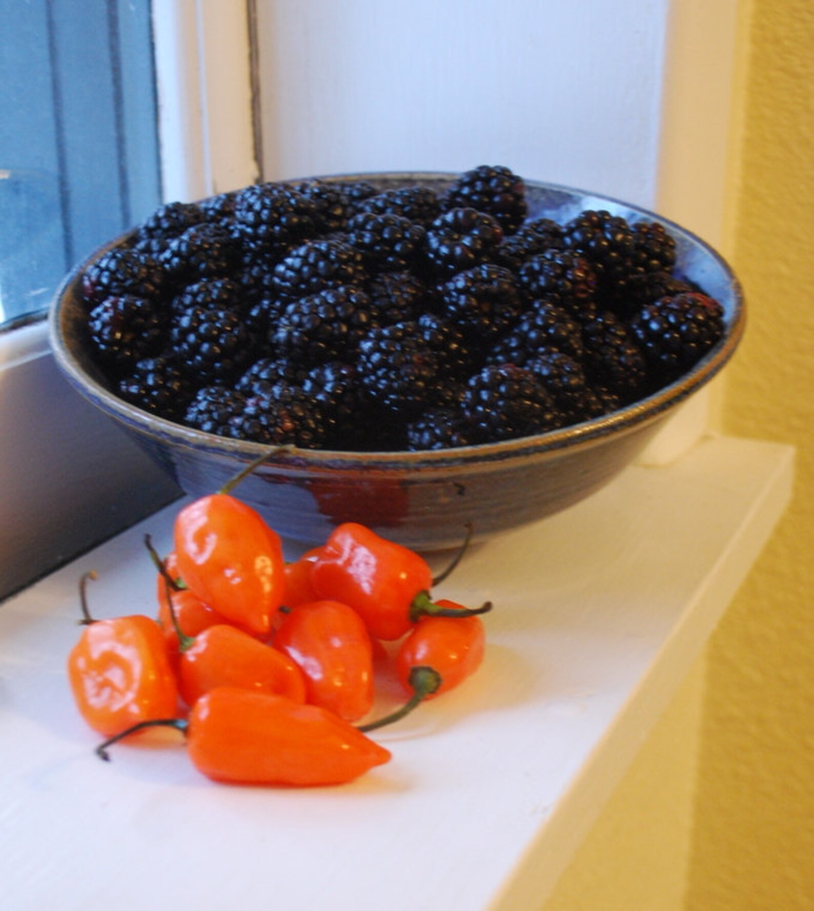 Jam Blackberry Habanero Farmers Market 8 Oz Hot Pepper Party Etsy