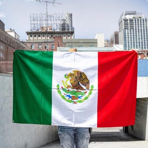 May include: A rectangular flag of Mexico featuring three vertical stripes in green, white, and red. The central white stripe displays the national coat of arms, depicting a brown eagle perched on a cactus while holding a snake in its beak.