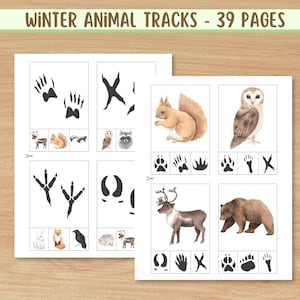 Winter Animal Tracks, Footprint Matching Game, Nature Study Worksheets, Forest Animal Printables, Homeschool Science PDF, PreK - 2nd grade