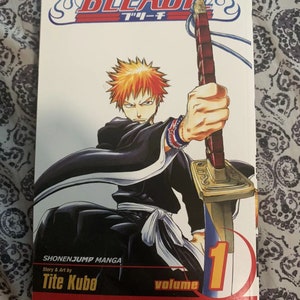 Bleach Manga Vol #1