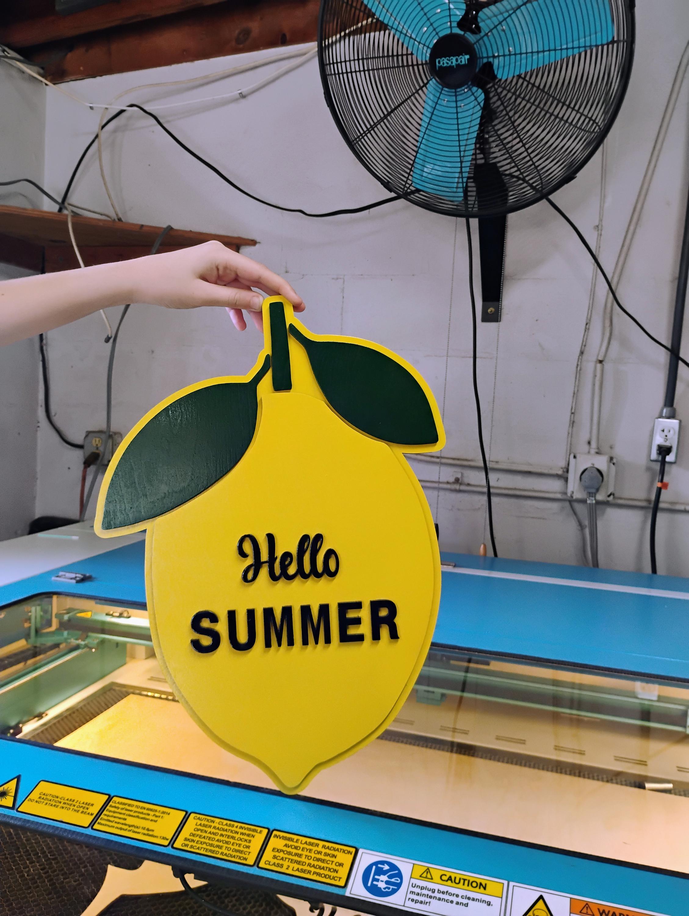 18 in Lemon Sign - Etsy