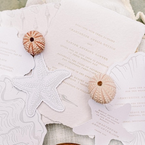 May include: Wedding invitation suite with a beach theme. Includes invitation cards with text, starfish and seashell cutouts, and two sea urchins. The color palette is neutral with beige and white tones.