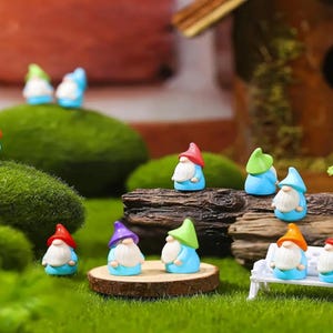 Miniature Garden Gnomes