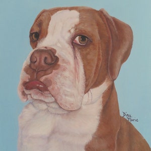 Bulldog pet card painting