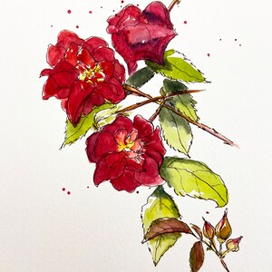 Illustration aquarelle originale Roses 5x7 image 2