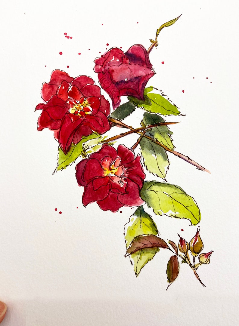 Illustration aquarelle originale Roses 5x7 image 2