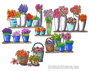 Flower Display fine art print