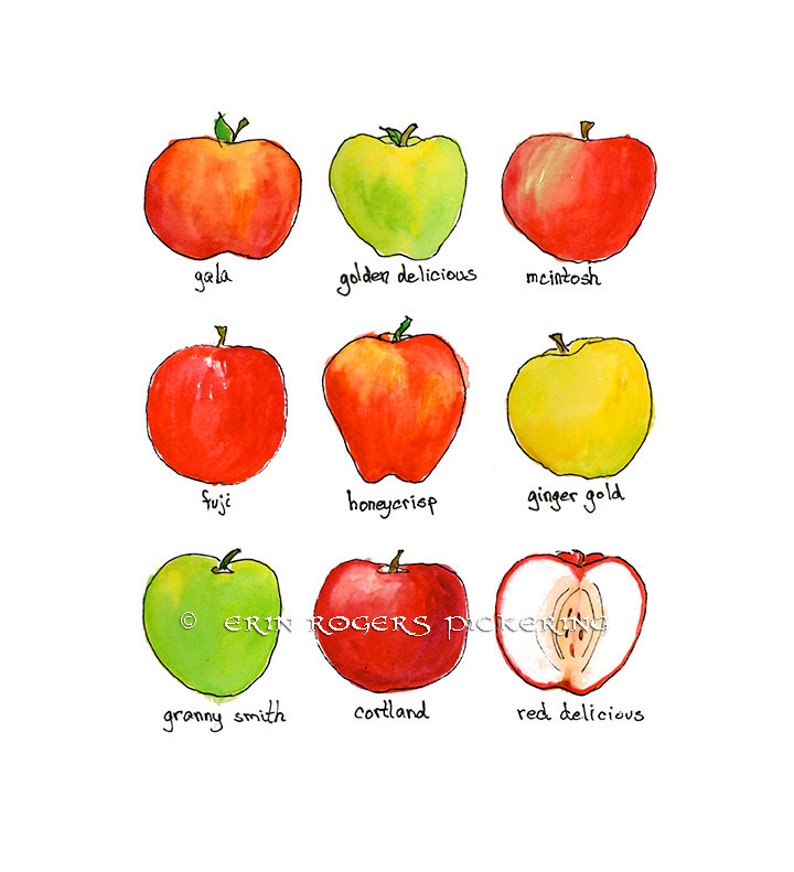 Apple Kitchen Art 8x10 Food Art Print Etsy