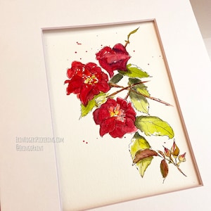 Illustration aquarelle originale Roses 5x7 image 3