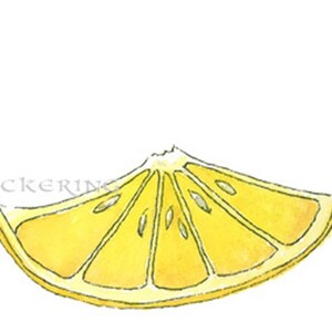 Pode incluir: Uma fatia de lim&atilde;o amarela com cinco segmentos, pintada em estilo aquarela.