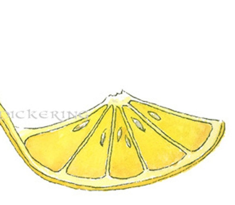 Pode incluir: Uma fatia de lim&atilde;o amarela com cinco segmentos, pintada em estilo aquarela.