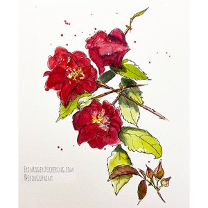 Illustration aquarelle originale Roses 5x7 image 1