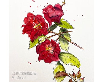 Original watercolor illustration Roses 5x7