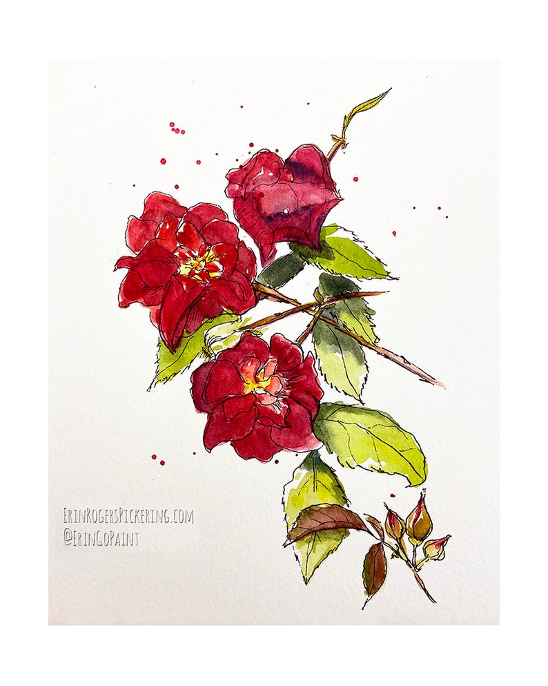 Illustration aquarelle originale Roses 5x7 image 1