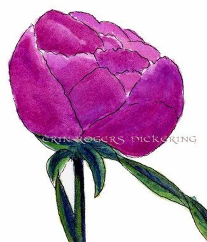 Peony High Heel Shoe art print 5x7 image 3